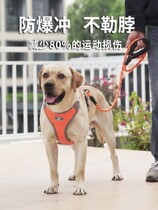 Walking dog traction rope in type puppies Large canine fur dogs Back to heart chest braces Labrador Rope Dog Chains