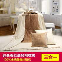 Winter cotton Mulberry silk pillow quilt dual-purpose three-in-one office nap thickening business type high-end pillow