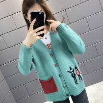 Embroidered lady sweater cardio-hoodie 2020 spring autumn new button outer lap jacket Autumn winter thickened loose knit jacket