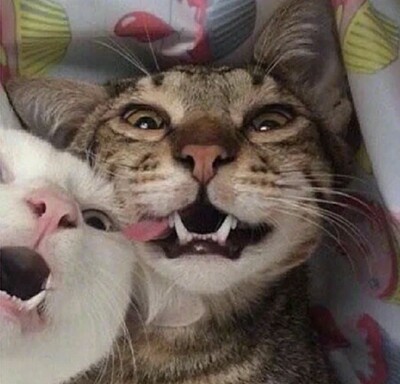 以前在天猫淘宝上买东西,都是系统自动好评,花了有好多好多钱,后来才知道淘宝评论得积分可以涨淘气值时,才知道评论的重要性,所以以后无论买什么东西,我都先把这段话复制粘贴下来,然后再写宝贝评论,没错,评论80个字以上就可以获得50个积分。 以前在天猫淘宝上买东西,都是系统自动好评,花了有好多好多钱,后来才知道淘宝评论得积分可以涨淘气值时,才知道评论的重要性,所以以后无论买什么东西,我都先把这段话复制粘贴下来,然后再写宝贝评论,没错,评论80个字以上就可以获得50个积分。