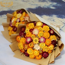 Yunnan flowers dried flowers bouquet Daisies sun flowers immortalized flowers Holiday gifts forest hand bouquet Location travel photography