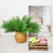 Nine Thoughts Simulation Plant Fern Leaf Shop Window Office Commercial Soft Dress Landscape Bionic Green Adornment F505