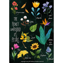 National tide artist MollySu (The floret unfolded its petals) limited edition prints