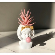 Desktop ornaments ins girl Nordic fleshy bonsai Bubble blowing girl Childrens room desk dressing table