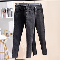 Denim leggings women wear spring and autumn stretch black large size trousers high waist small feet pencil pants fat mm200 pounds