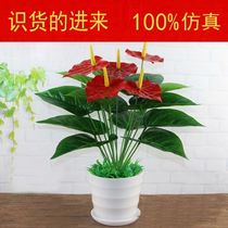 Simulation Anthurium flower potted office home living room decoration smooth plastic flower fake flower fake flower fortune