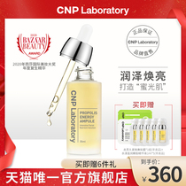 CNP Moisturizing Propolis Essence Facial Essence Ampoule Soothing hydration