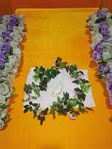 Pet cremation bird cremation funeral service