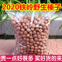 Northeast wild Tieling fresh hazelnuts Raw small hazelnuts Raw hazelnuts Mountain Hazelnuts Wild Mountain Kaiyuan specialty original source incense