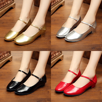 Latin Dance Shoes Children Girl Xinjiang Silver Dance Shoes Low heel Performance Girls Dancing Viethnic and Shoe Mordenkin