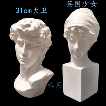 David plaster head model Sculpture ornaments Sketch Still life European decoration Sketching Plaster portrait of an English girl
