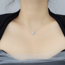 Shell Butterfly Necklace Women Ins Small Crowddesign Slight Mesh Red Advanced Sensation Cold Light Wind Flow Sulock Bone Chain