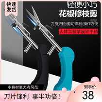 Pepper scissors Gardening scissors Mini scissors Lightweight small picking scissors Pruning scissors Stainless steel fruit and flower scissors special