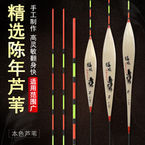 Fierce Attack High Sensitive Fish Drift Light Mouth Crucian Carp Drift With Shell Reed Integrated Mixed Breeds Carp Mark Reservoir Floating Eye-catching Tail End