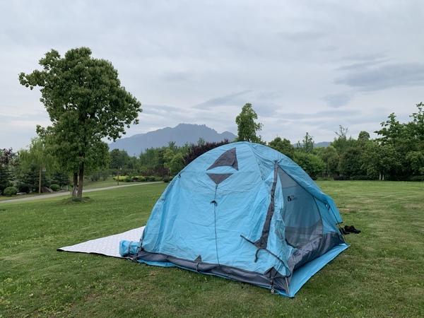 反馈口碑不好吗