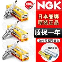 NGK Moto spark plug CR8E CR7HSA DR8EA DR8EA bending beam 110125 electric spray carburetor universal