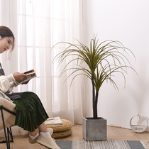 Nordic Emulation Green Plant Potted Dragon Blood Iron Fake Tree Ground Large Fake Plant Indoor Home Clothing Shop Decoration