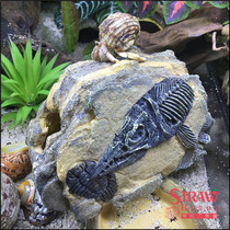Simulation tree root animal fossil resin escape climbing pet fish tank decoration aquarium cave hermit crab landscape ornaments
