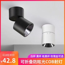 Black and white open-frame foldable led anti-glare cob spotlight free opening ceiling spotlight living room bedroom aisle