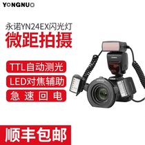 Yongnuo YN24EX double head macro flash canon SLR camera teeth oral jewelry TTL automatic flashing light