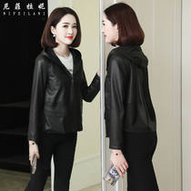 Haining Leather Women's Short Korean Spring and Autumn 2021 Casual Large Size Sheepskin Leather Coat Short Leather Jacket