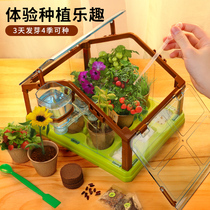 Girl Toys Children Birthday Gifts Over Home Kindergarten Elementary School Students 12 Puzzle Six 6 7 8 10 Years Old