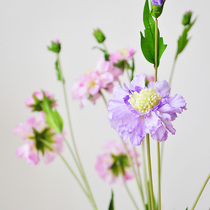 (9 thoughts) 8 branches emulated blue basin flower wheel peak chrysanthemum natural fresh and long silk flower fake flowers F586