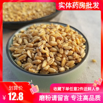 Chinese herbal medicine floating wheat antiperspiration night sweat 500g tea and Huai wheat licorice jujube