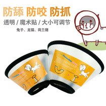 Elizabeth rabbit pet protective ring cat dog and dog collar collar anti-bite ring ChinChin guinea pig anti-licking collar super small