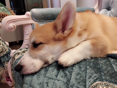 质量超级好，非常不错经常买