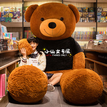 Hug the bear teddy bear cat plush toy paparazzi big bear cub doll girl dolls sleep hug