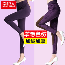 Antarctic womens thickened velvet pants wear warm pants in autumn and winter autumn pants wool pants tight cotton pants bottoming panties