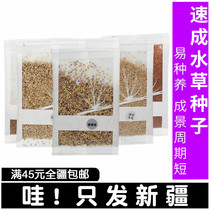 Fish tank aquatic plant seeds fish tank landscaping on leaves aquatic plant mud real aquatic plant lazy aquatic plant seed cattle hair aquatic plant