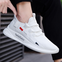 Man Nets Red Little White Shoes Men 2020 Spring Summer Festival Han Edition 100 Ride Currents Casual Sports Running Shoes Flat Bottom Shoe Tide