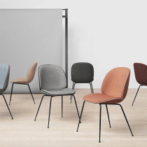 Nordic dining chair Beetle Beetle chair creative personality designer chair modern casual coffee chair Bookroom chair