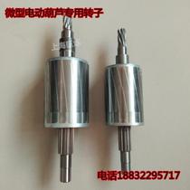 Miniature electric hoist accessories Household electric hoist rotor stator 220V small crane hoist special