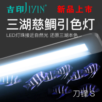 Jiyin blade lighting high color LED waterproof cichlid lamp fish tank lamp Sanhu cichlid fish lamp professional color introduction lamp