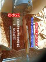 Jujube wood two-pointed rolling pin fish maw rolling pin pancake rolling pin factory direct sales custom size smooth shape