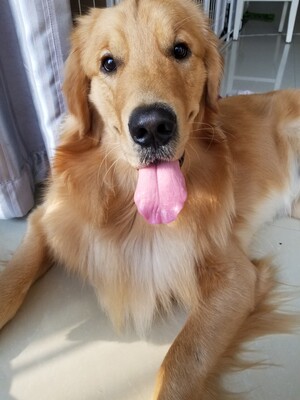 质量非常好,与卖家描述的完全一致,非常满意,真的很喜欢,完全超出期望值,发货速度非常快,包装非常仔细、严实,物流公司服务态度很好,运送速度很快,很满意的一次购物 质量非常好,与卖家描述的完全一致,非常满意,真的很喜欢,完全超出期望值,发货速度非常快,包装非常仔细、严实,物流公司服务态度很好,运送速度很快,很满意的一次购物