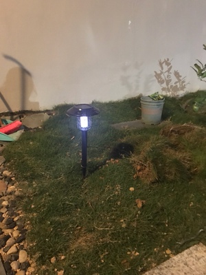 吐槽最新揭秘尚科太阳能灭蚊灯怎么样,效果好不好呢?