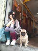 supplementary shipping