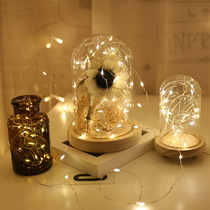 Factory direct explosion LED copper wire light string button battery box light string Christmas holiday decorative light string Amazon