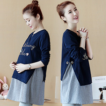 Pregnant women spring coat cotton long loose spring and autumn new T-shirt winter fashion base shirt early spring