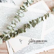 JK Mu space literary fresh ins style eucalyptus Hay leaf shooting props vase with Eternal Flowers