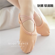 Dina ballet dance practice shoes women cat claw shoes soft bottom yoga body gymnastics performance quality canvas dance shoes