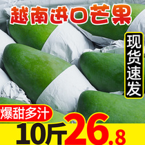 Vietnam imported mango 10kg fruit fresh season whole box sweetheart extra season green skin mango 5 Wholesale