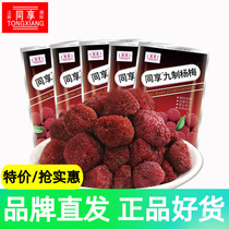 Sharing nine-system bayberry 125g*5 pregnant women casual snacks office snack bayberry dried candied dried dried fruit