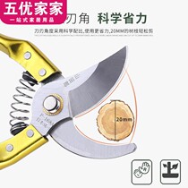 Chinese rose pruning shears garden gardening tools scissors fruit trees gardening tools scissors wealth cutting scissors saving New