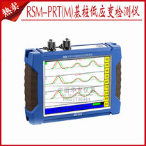 Wuhan Zhongyan Technology RSM-PRT(M) Pile Low Strain Detector Low Strain Pile Foundation Dynamic Tester