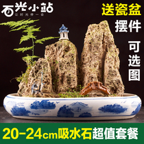  20-24cm Sheung Shui stone Absorbent stone Rough stone Qishi micro-landscape Rockery stone Mao stone Office home bonsai